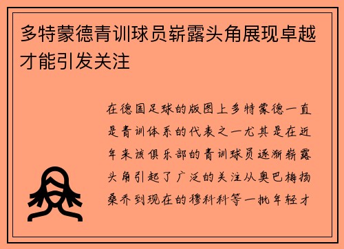 多特蒙德青训球员崭露头角展现卓越才能引发关注