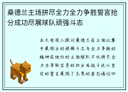 桑德兰主场拼尽全力全力争胜誓言抢分成功尽展球队顽强斗志