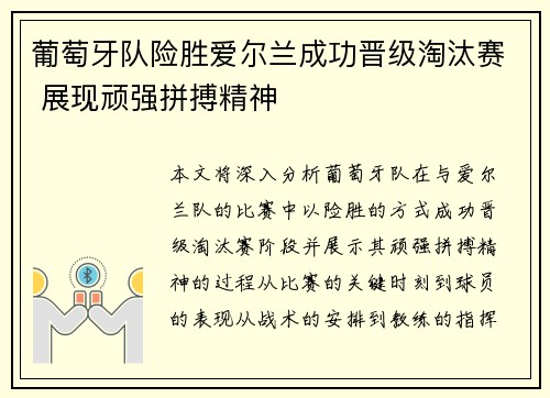葡萄牙队险胜爱尔兰成功晋级淘汰赛 展现顽强拼搏精神