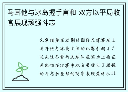 马耳他与冰岛握手言和 双方以平局收官展现顽强斗志