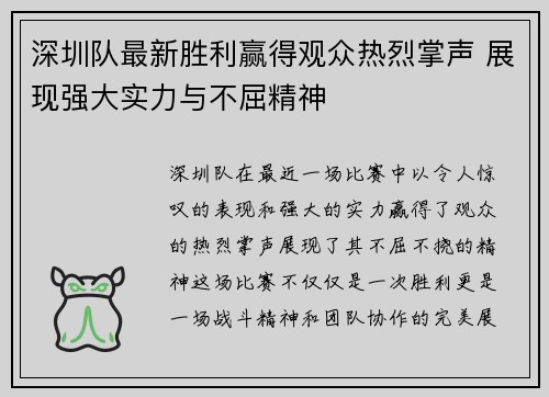 深圳队最新胜利赢得观众热烈掌声 展现强大实力与不屈精神